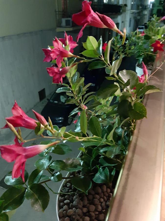 莫拉-迪巴里Casa Lina公寓 外观 照片